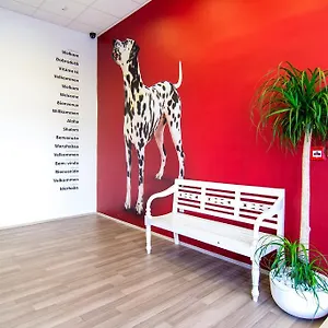 Design 101 Dalmatinac Auberge de jeunesse Split